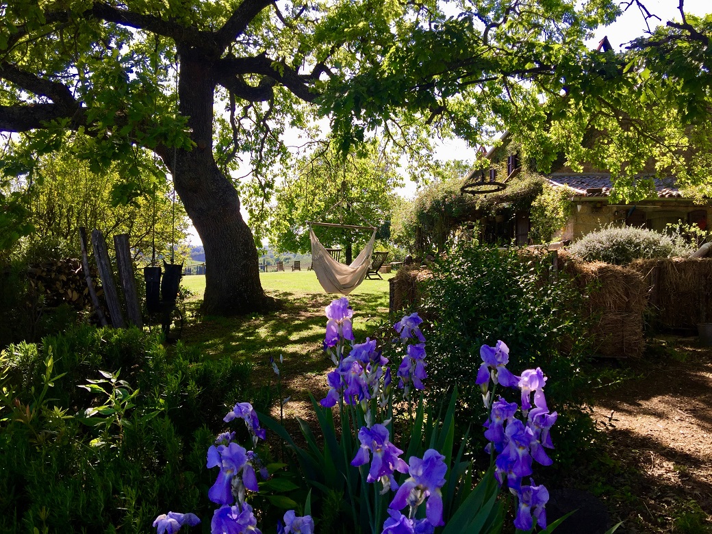 dopoilsettimocielo_garden_IRIS jpg