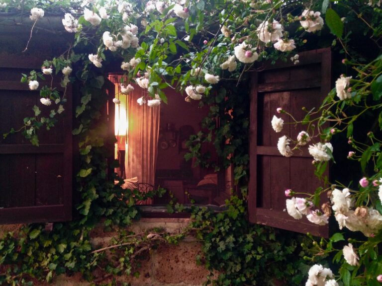 dopoilsettimocielo_roses_window