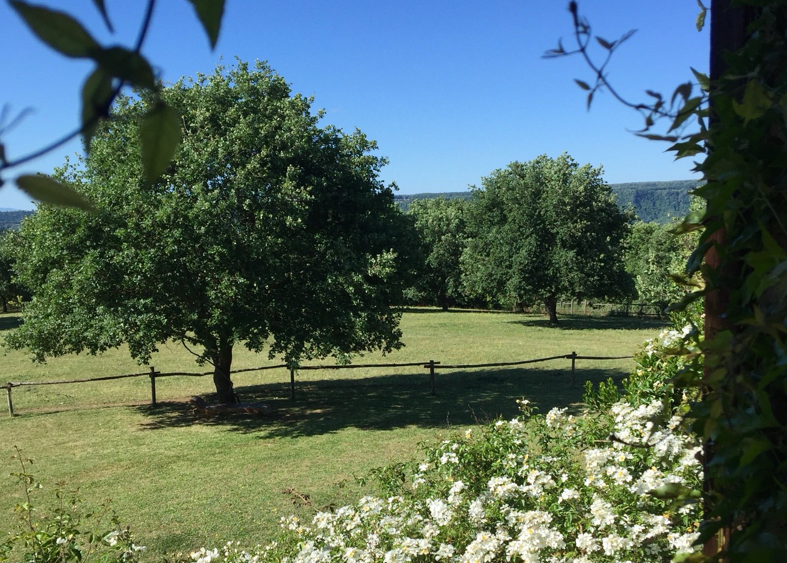 Ari_Jo_bedroom_garden_view
