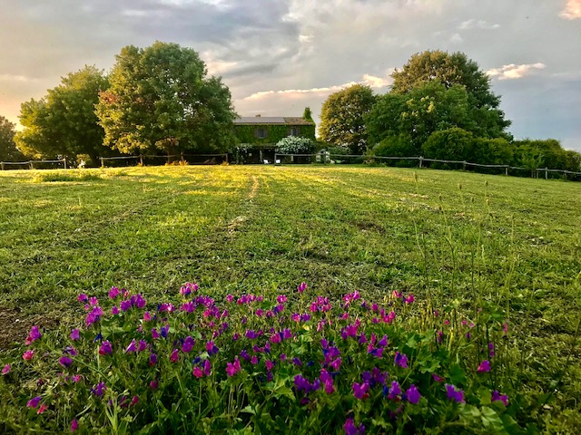 dopo il settimo cielo B&B country house with wide front garden